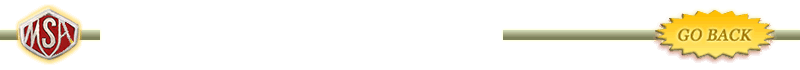 msa
